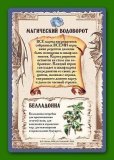 Зельеварение - Университетский курс 37261